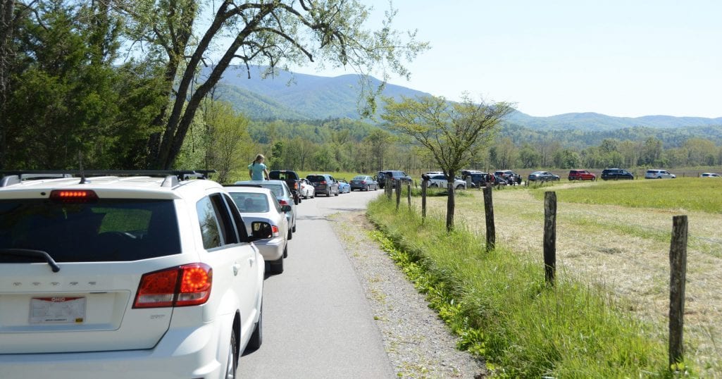 Guests returned to the Great Smoky Mountains National Park in large numbers following the park's reopening last month. (photo by Daniel Munson/TheSmokies.com)