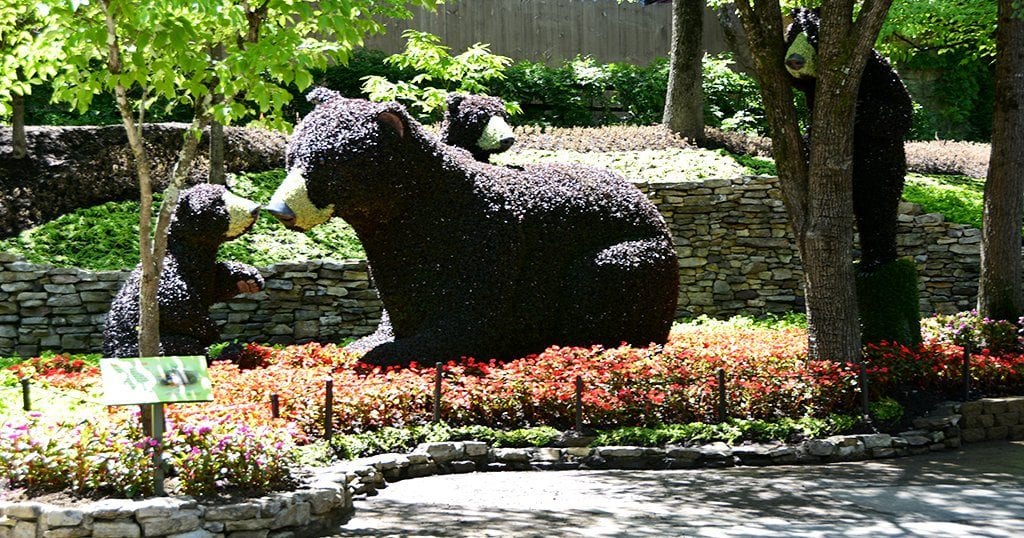 Bear display