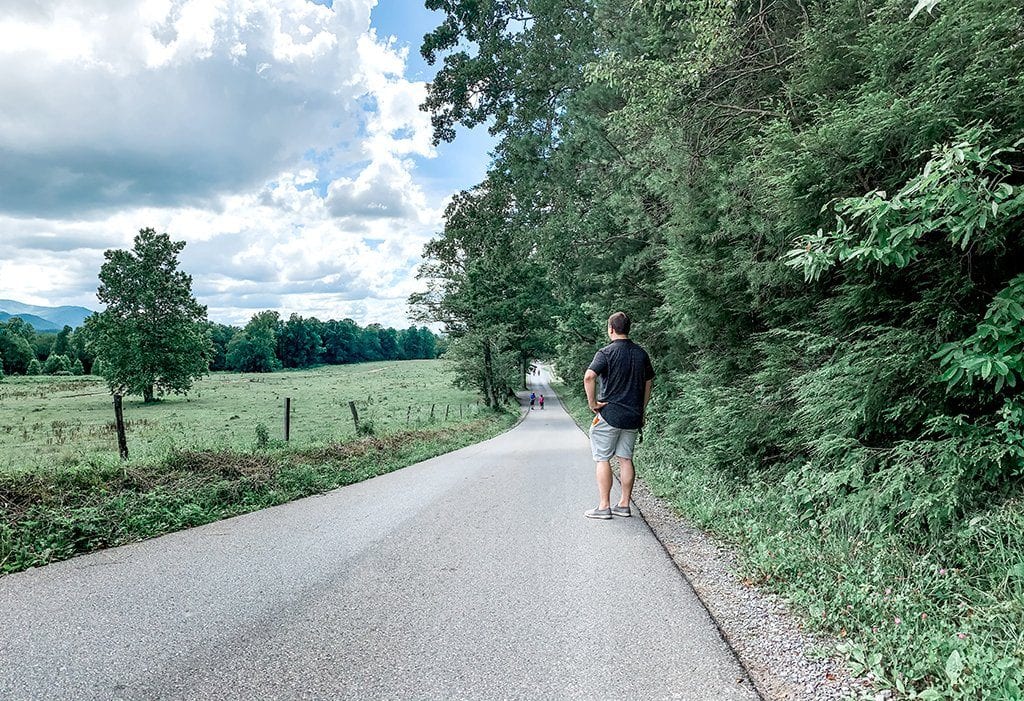 We've never seen Cades Cove quite like this before (photo by Morgan Overholt/TheSmokies.com)