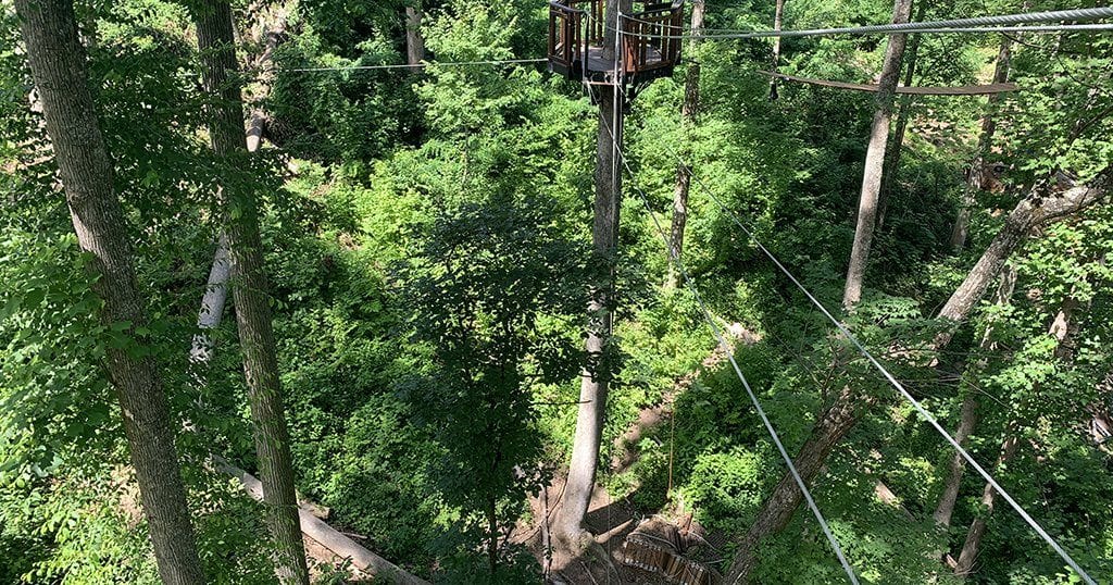 Ninety-mile per hour winds recently knocked down a couple of trees on Anakeesta's popular TreeTop SkyWalk attraction, taking a piece of the SkyWalk with them (photo by Morgan Overholt/TheSmokies.com)