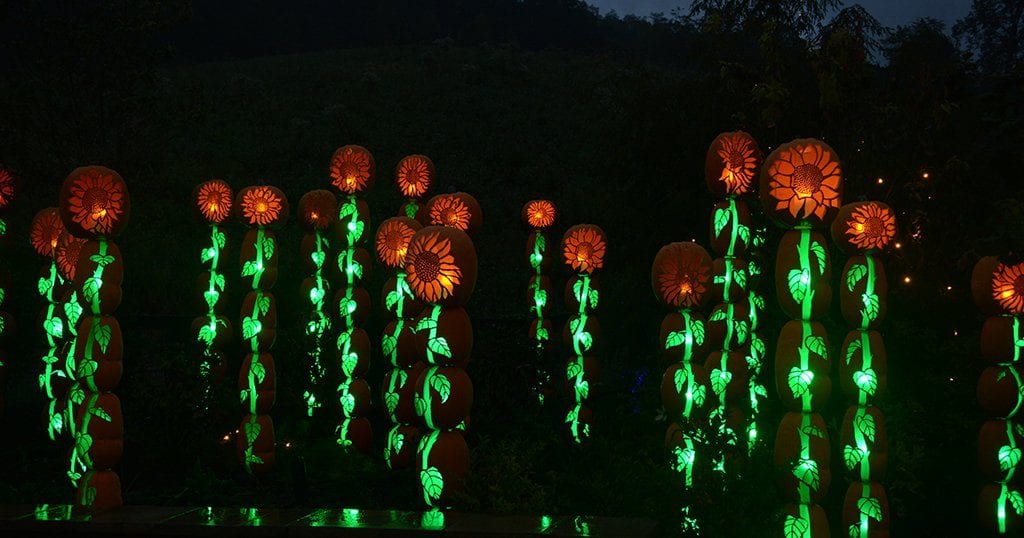 LumiNights