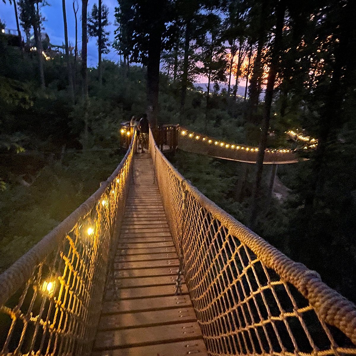 Best Things To Do In Gatlinburg At Night: Unforgettable Adventures