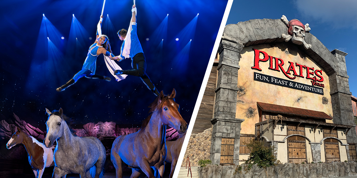13 Best Shows in Pigeon Forge, Ranked by a Local