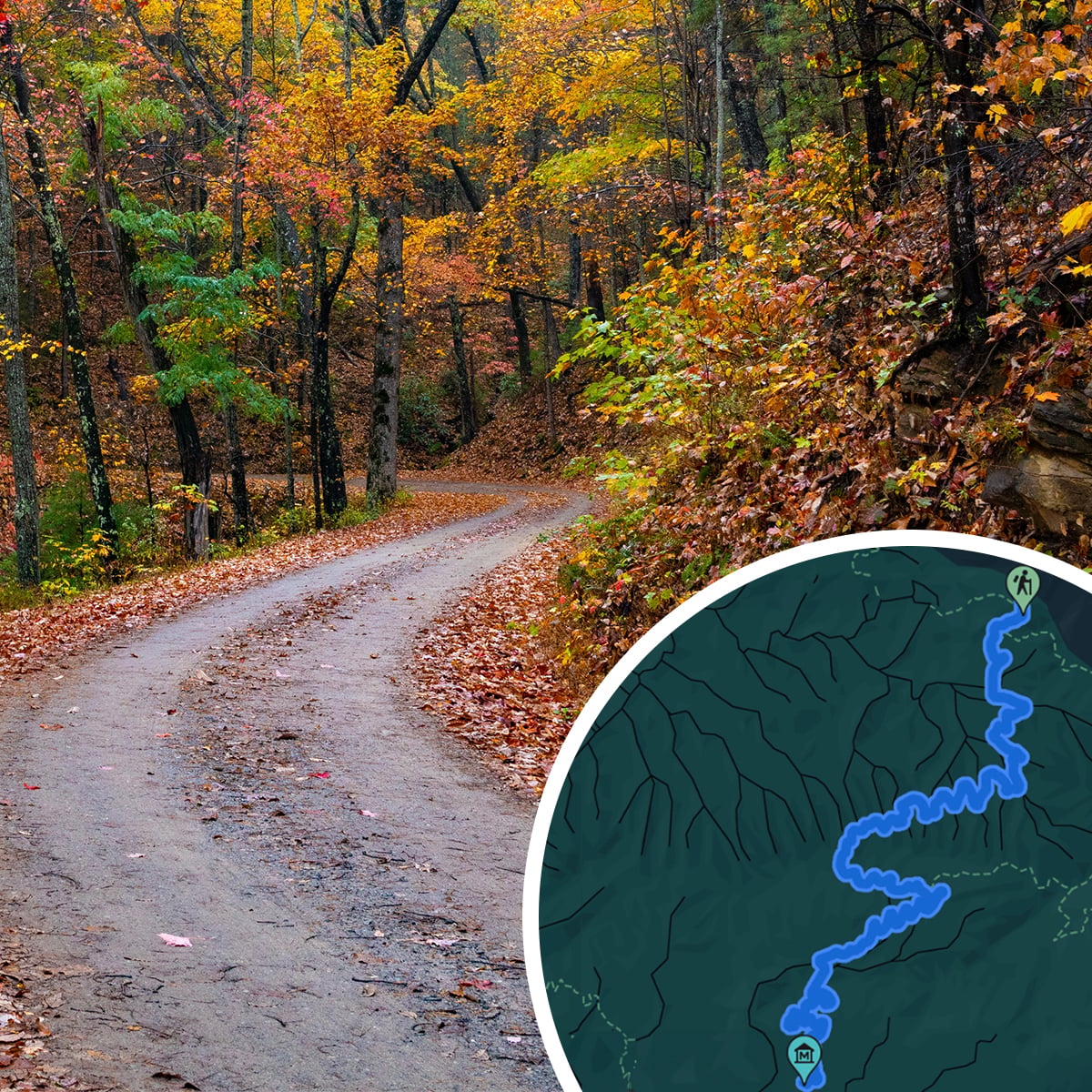 OLD MOUNTAIN 38灯rich （GO OUT ver） There's a Curious 200-Year-Old Road Hidden in the Smoky Mountains