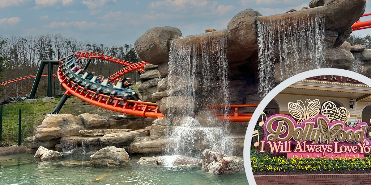 How Much Money Does Dollywood Make A Year