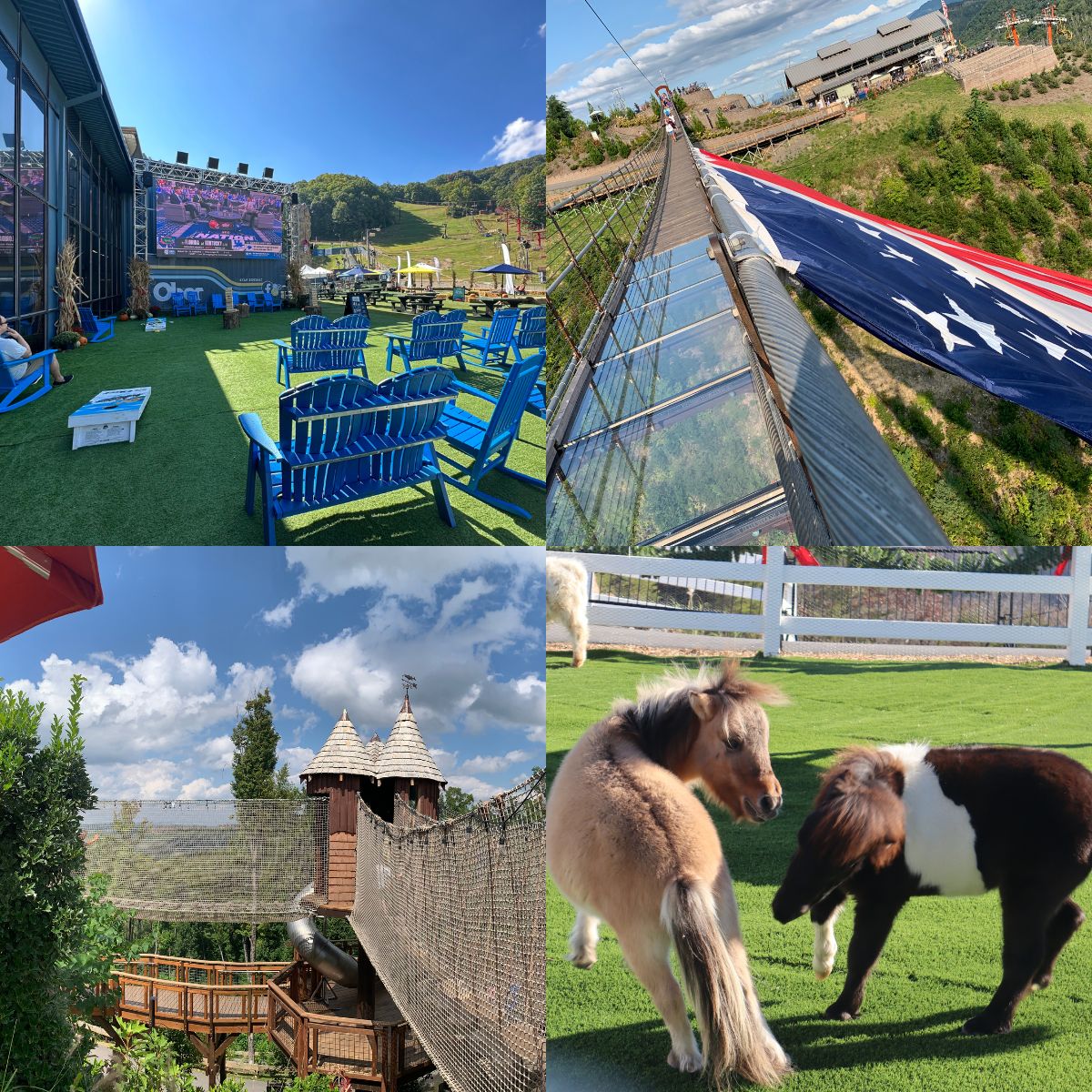 The Best Mountain Parks Ranked: Anakeesta vs Gatlinburg SkyPark vs