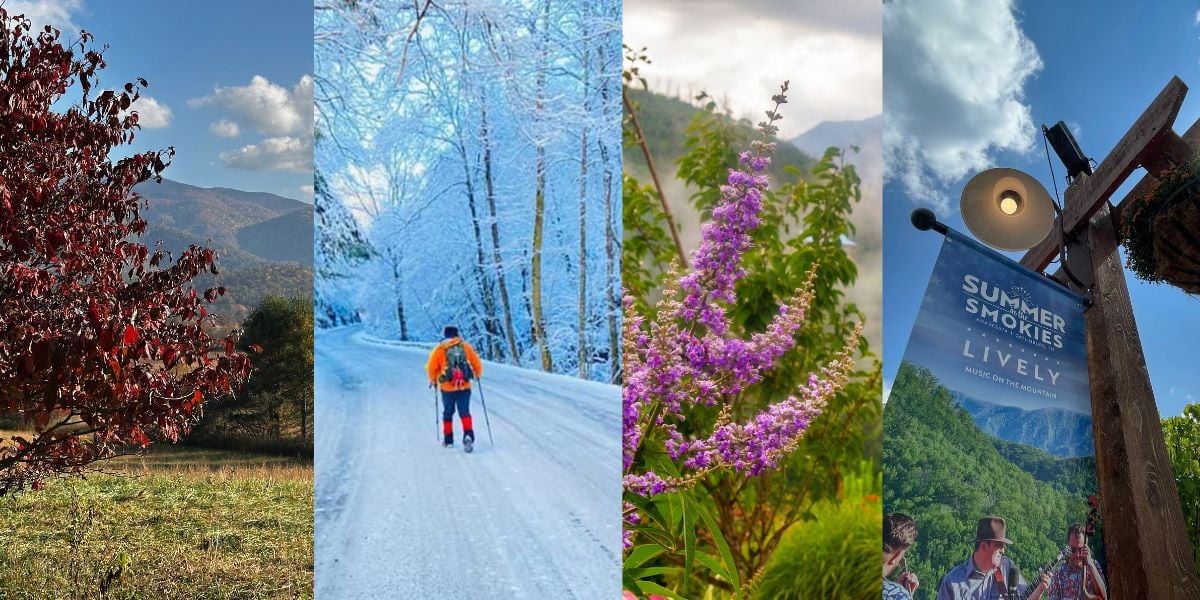 Worst Times To Visit the Great Smoky Mountain National Park
