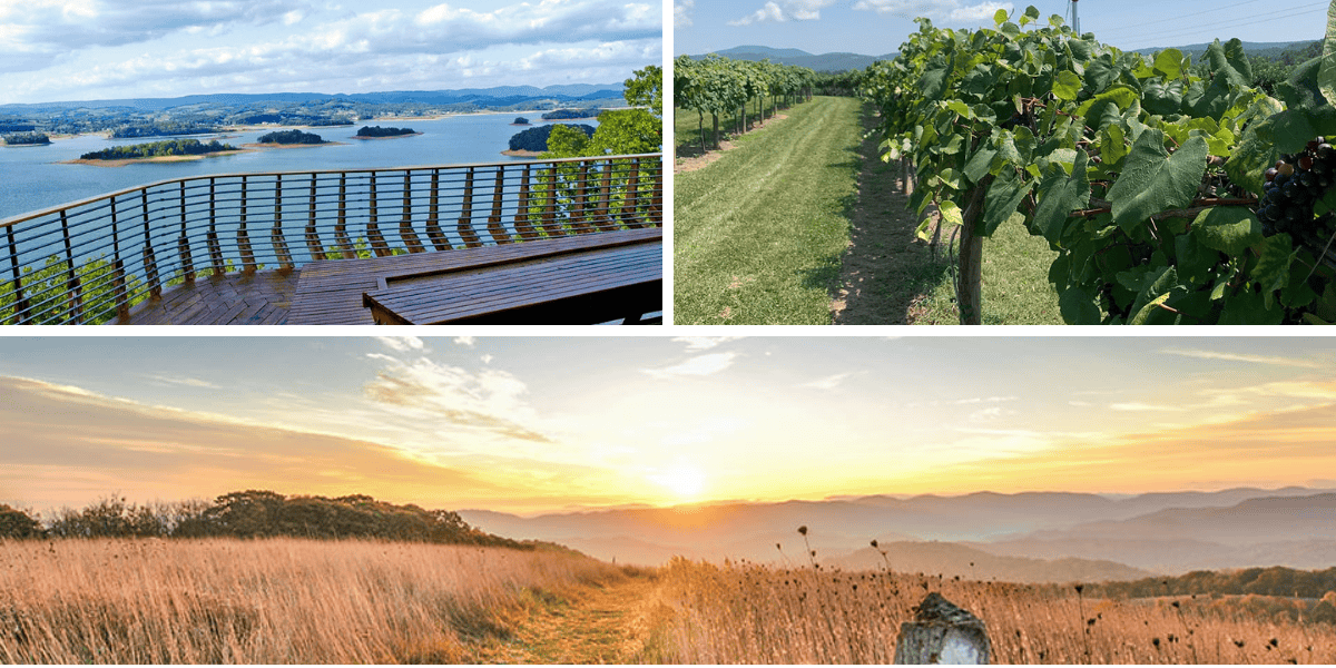 Best Places to Picnic Near Me Hidden Gems